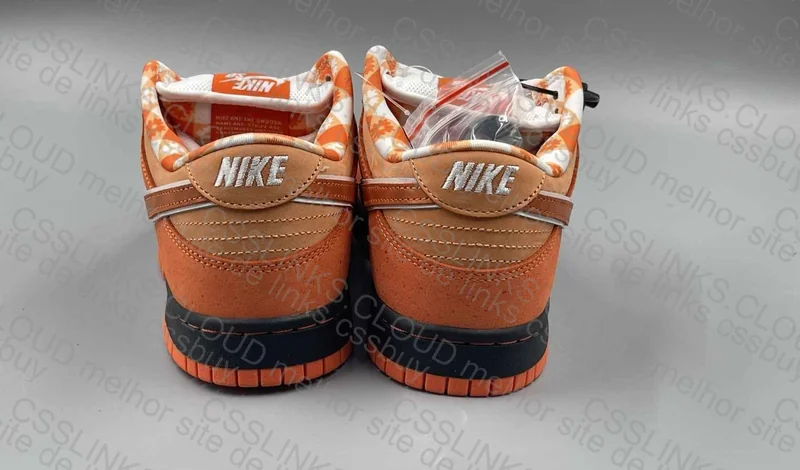 Dunk Lobster Orange 7