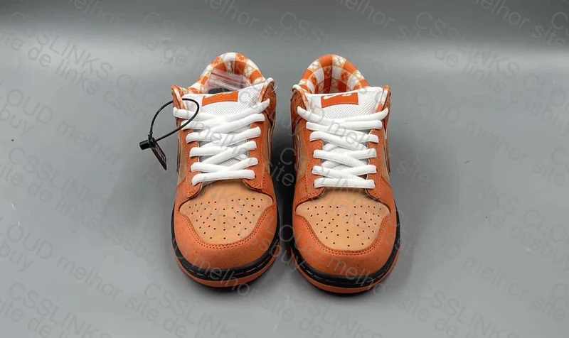 Dunk Lobster Orange 8
