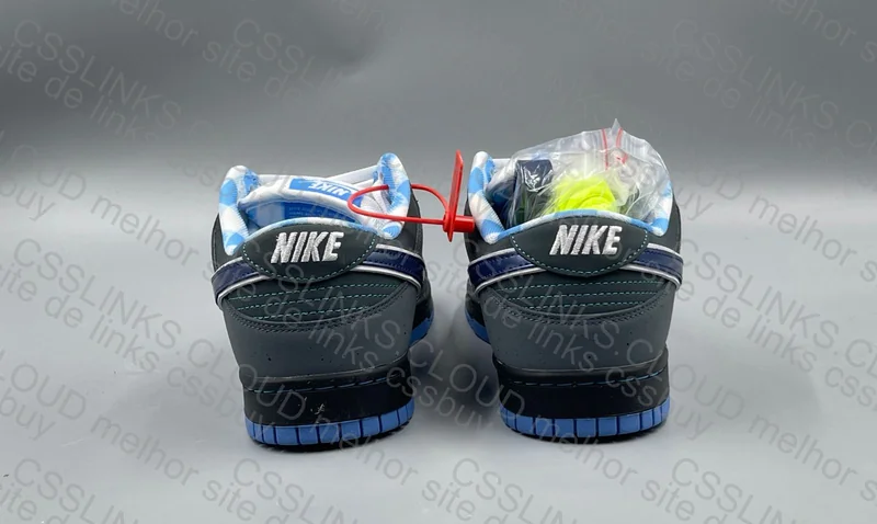 Dunk Lobster OVO 2