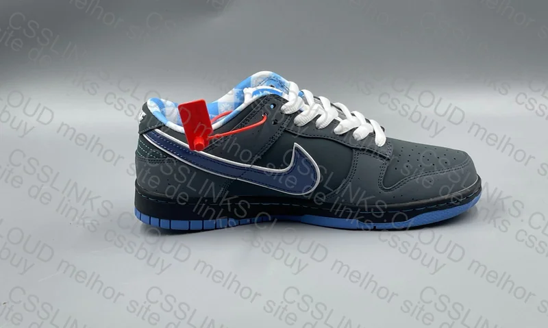 Dunk Lobster OVO 3
