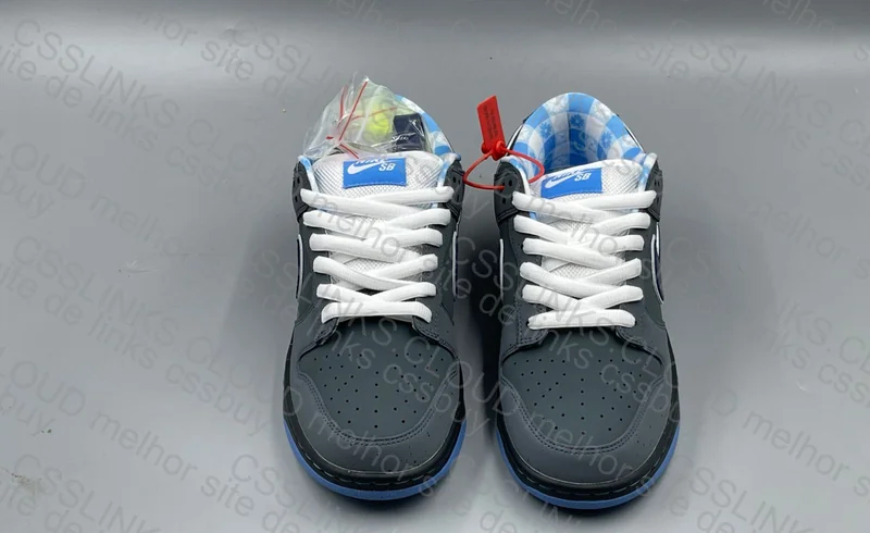 Dunk Lobster OVO 4
