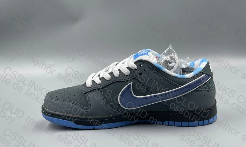 Dunk Lobster OVO 5
