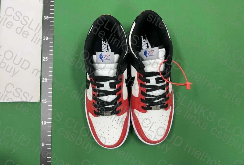 Dunk Low 75th Chicago