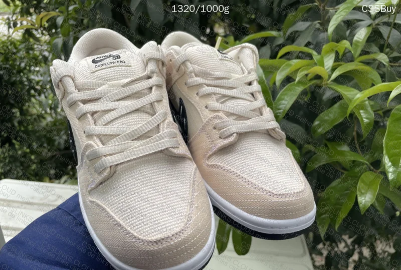 Dunk Low Albino and Black 4