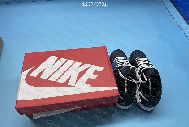 Dunk Low Black and White