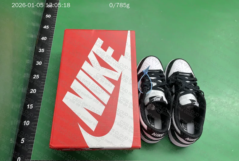 Dunk Low Black & White Panda 4