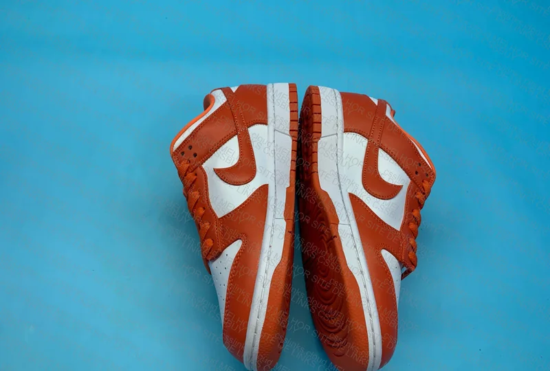Dunk low blind box 6