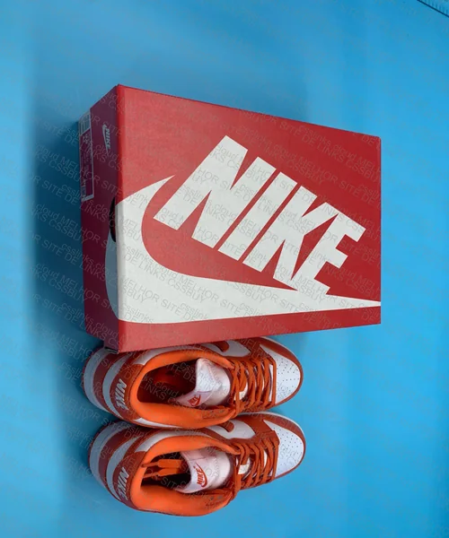 Dunk low blind box 9