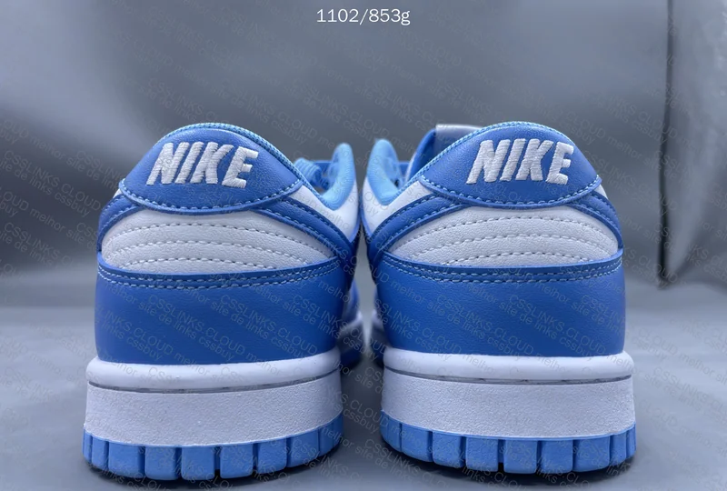 Dunk low Blue university 3