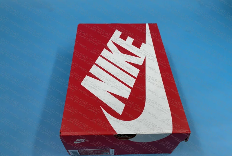 DUNK LOW CACAO 5