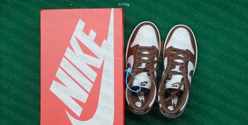Dunk Low Cacao NEW VT 3