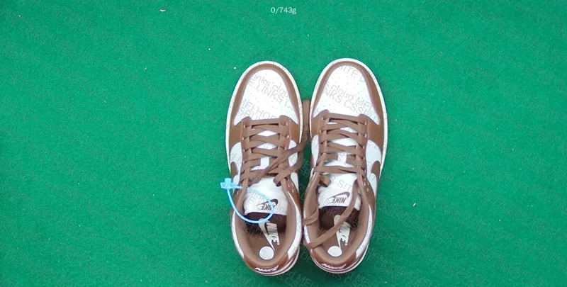 Dunk Low Cacao NEW VT 5