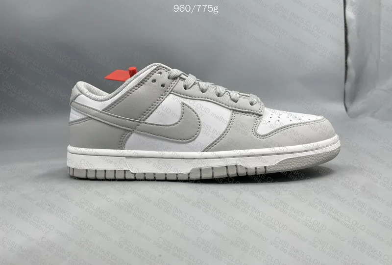 Dunk Low Gray 5