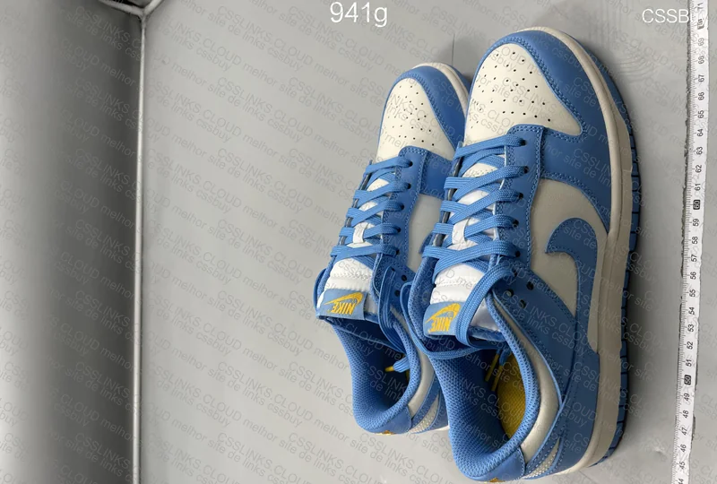 Dunk low coast 4