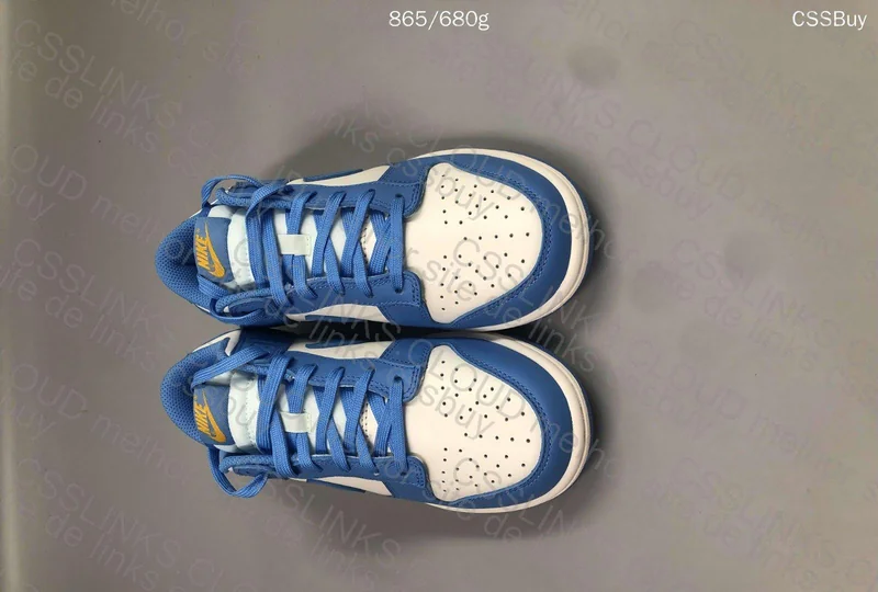 Dunk low coast