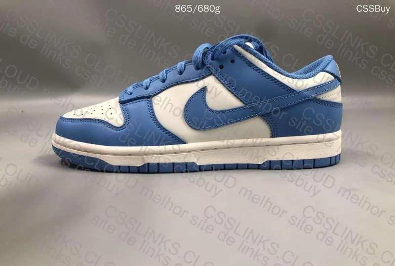 Dunk low coast 2