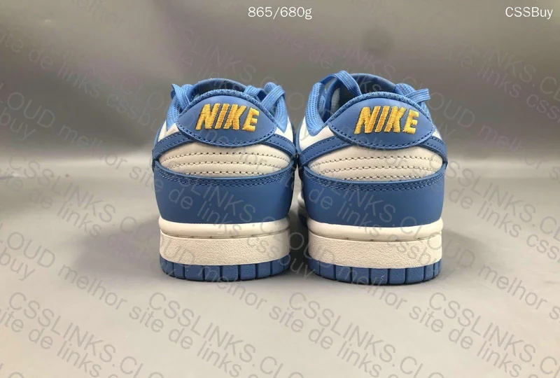 Dunk low coast 4