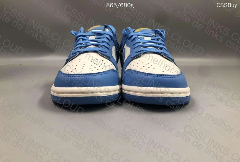 Dunk low coast 6