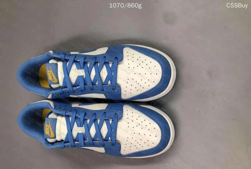 DUNK LOW COAST