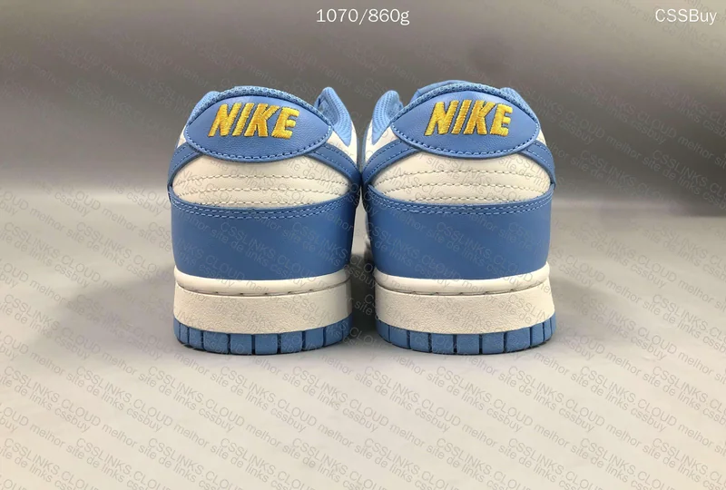 DUNK LOW COAST 2
