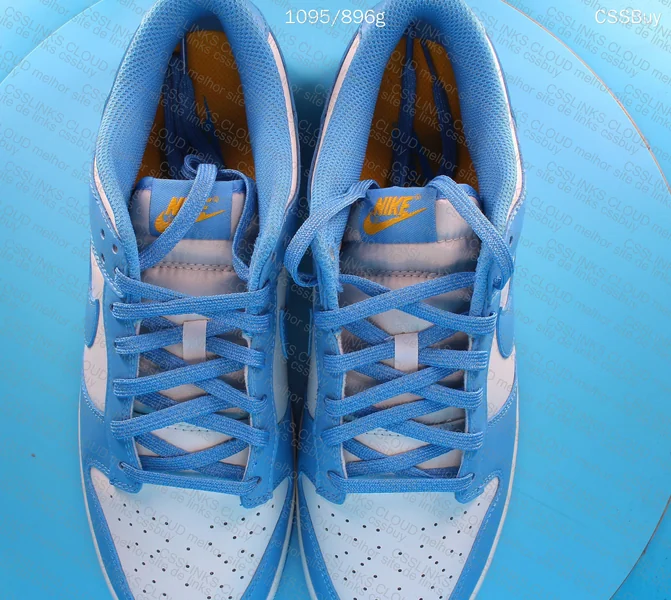 Dunk low Coast