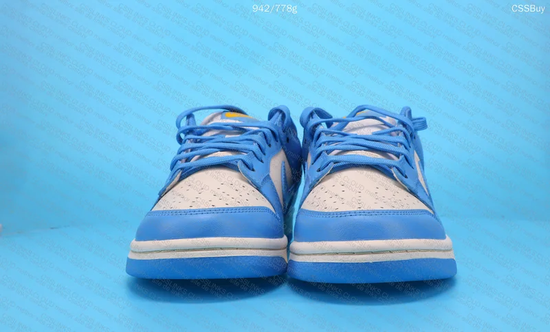Dunk Low Coast 5