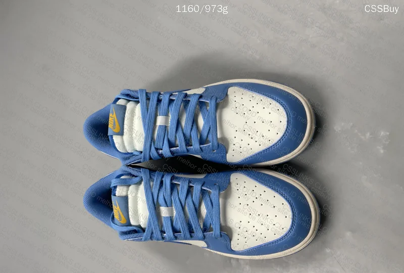 Dunk Low Coast 3