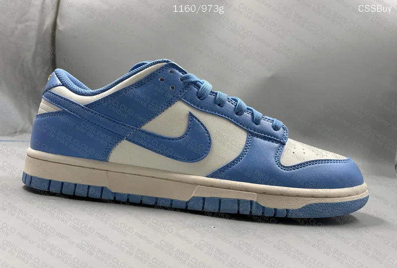 Dunk Low Coast 5