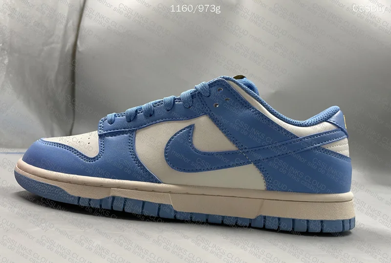Dunk Low Coast 6