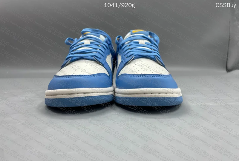 Dunk low coast 5