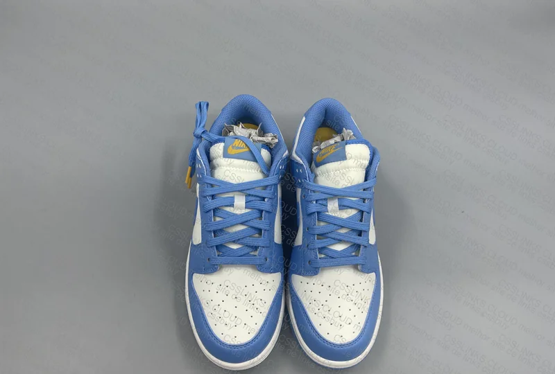 Dunk Low Coast