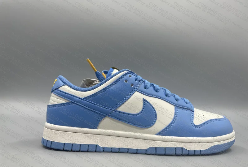 Dunk Low Coast 3