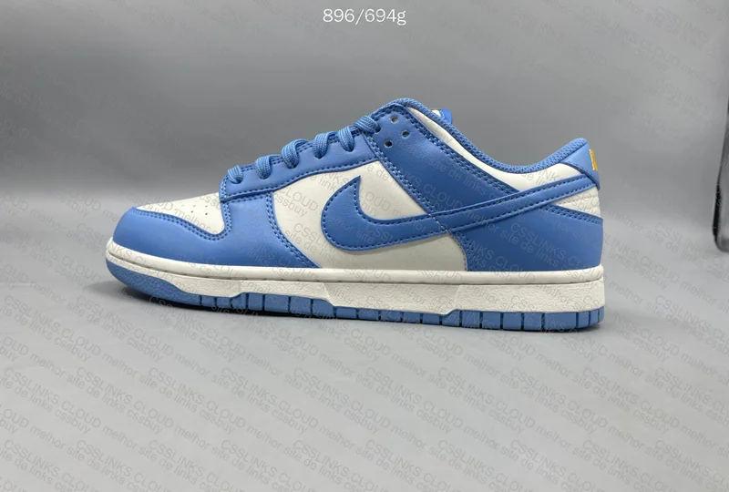 Dunk Low Coast 5