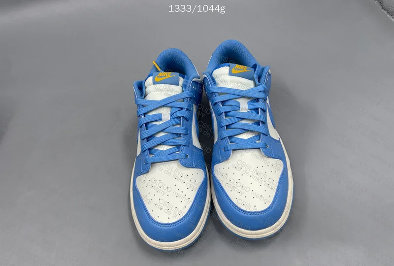 Dunk Low Coast 7