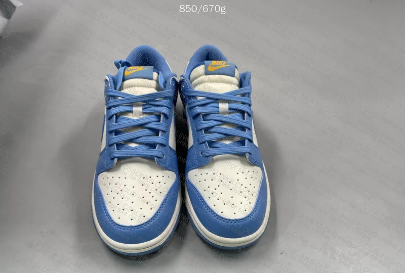 Dunk low coast 5
