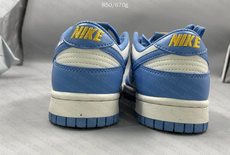 Dunk low coast 6