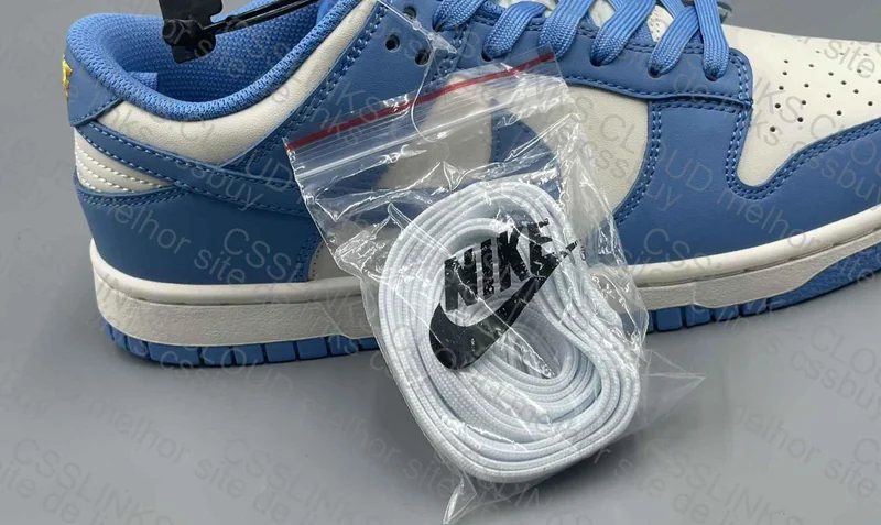Dunk Low Coast