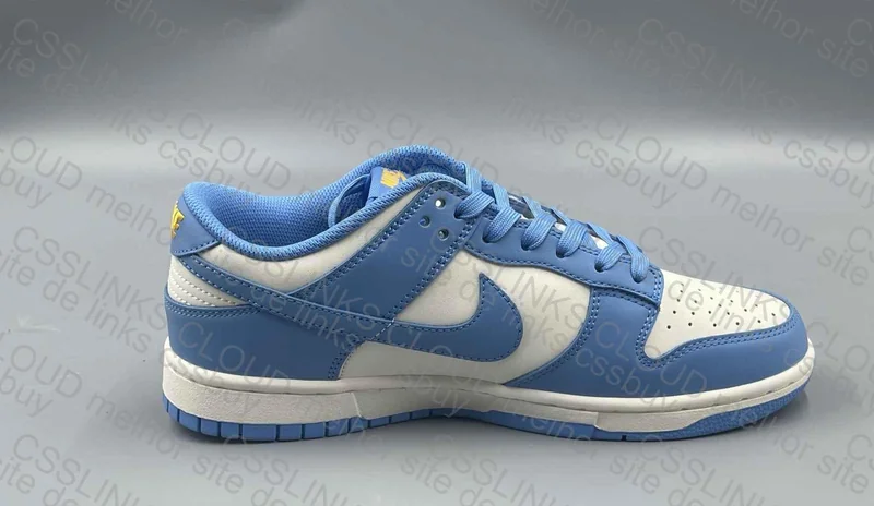 Dunk Low Coast 5