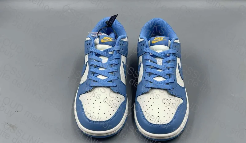 Dunk Low Coast 6