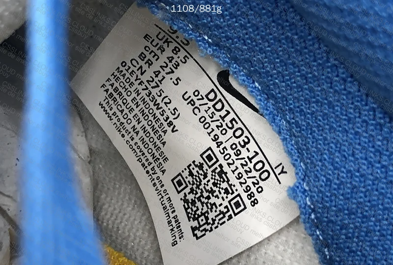 Dunk Low Coast 5