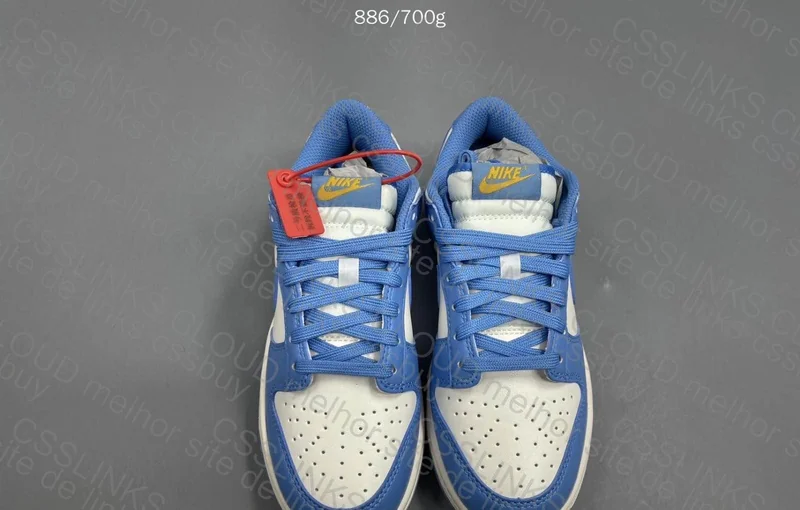 dunk low coast 6
