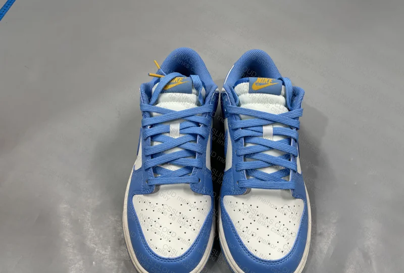Dunk low coast 99y 3
