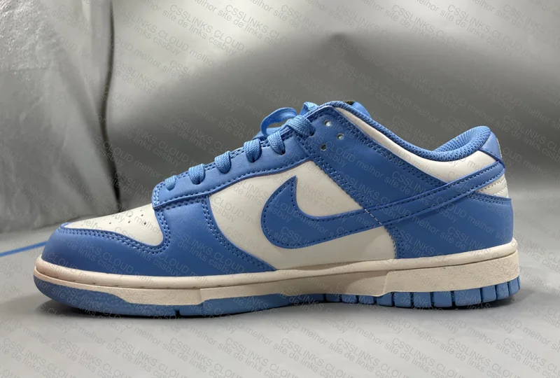 Dunk low coast 99y 5