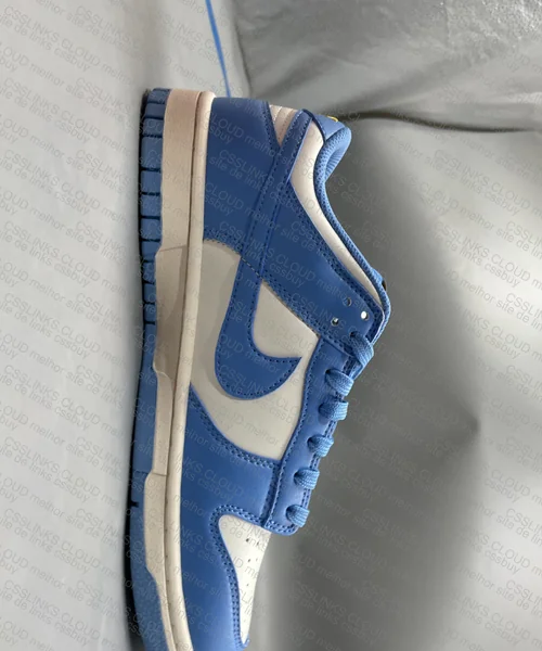 Dunk low coast 99y 6