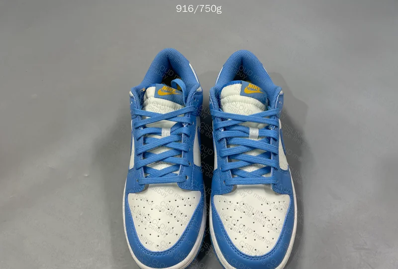 DUNK LOW COAST BLUE 3