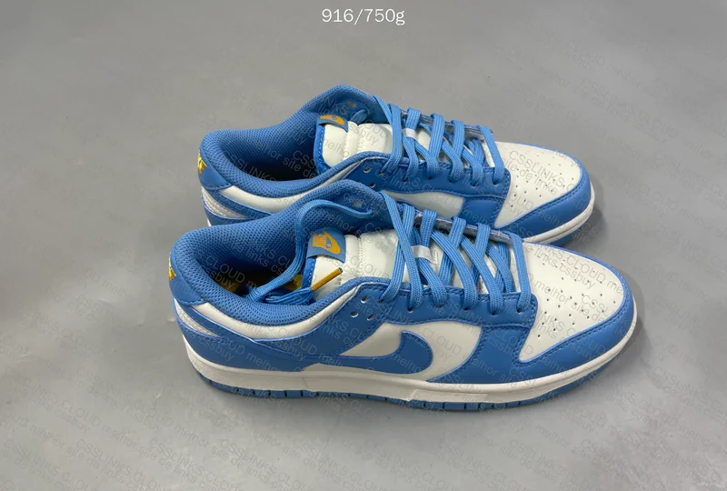 DUNK LOW COAST BLUE 4