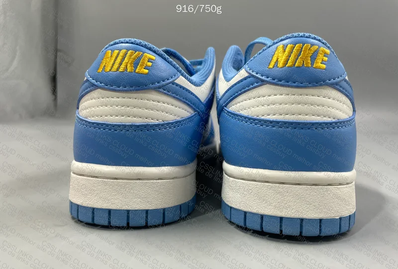 DUNK LOW COAST BLUE 5