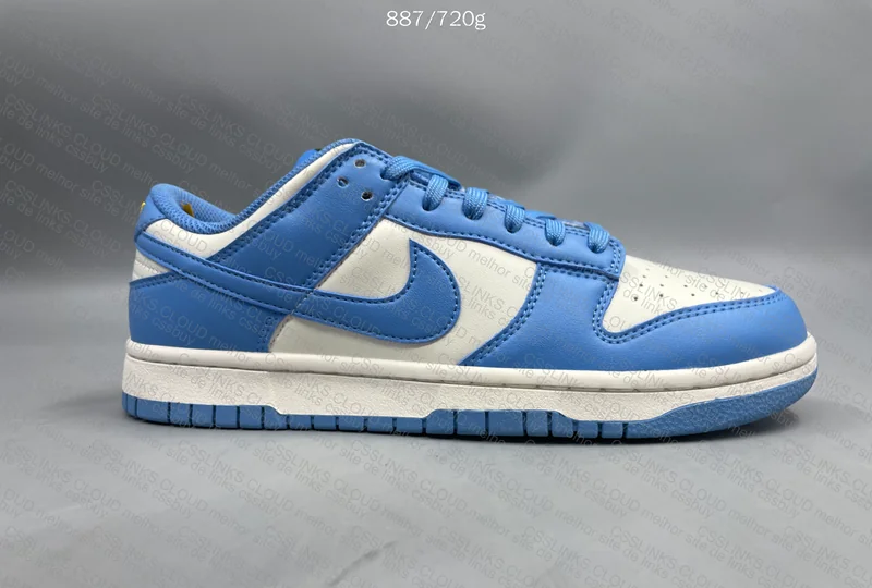 Dunk low coast blue 5
