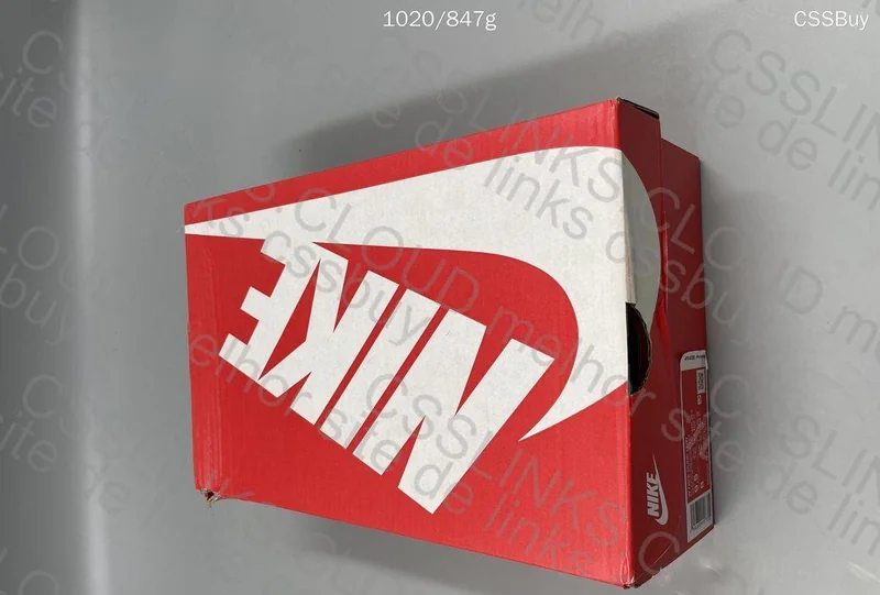 Dunk Low Cocoa Wow 7