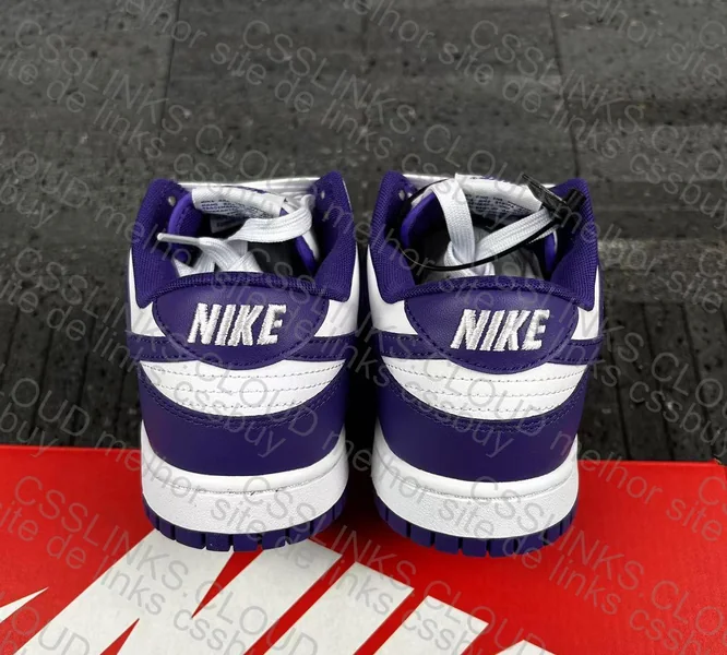 Dunk Low Court Purple 4
